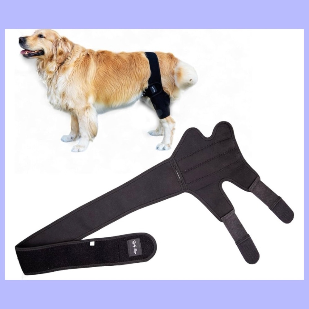 New! Rocky Rays Dog Knee Brace!